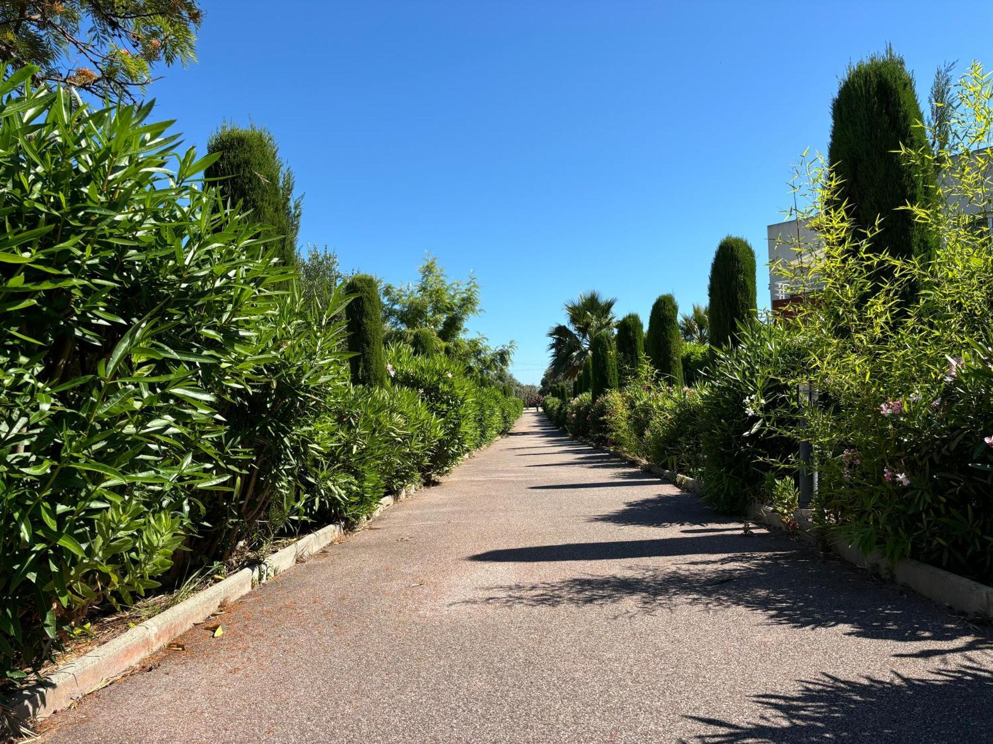 Beachside Apartment With Pool & Garden In Juan Les Pins Antibes Exteriör bild
