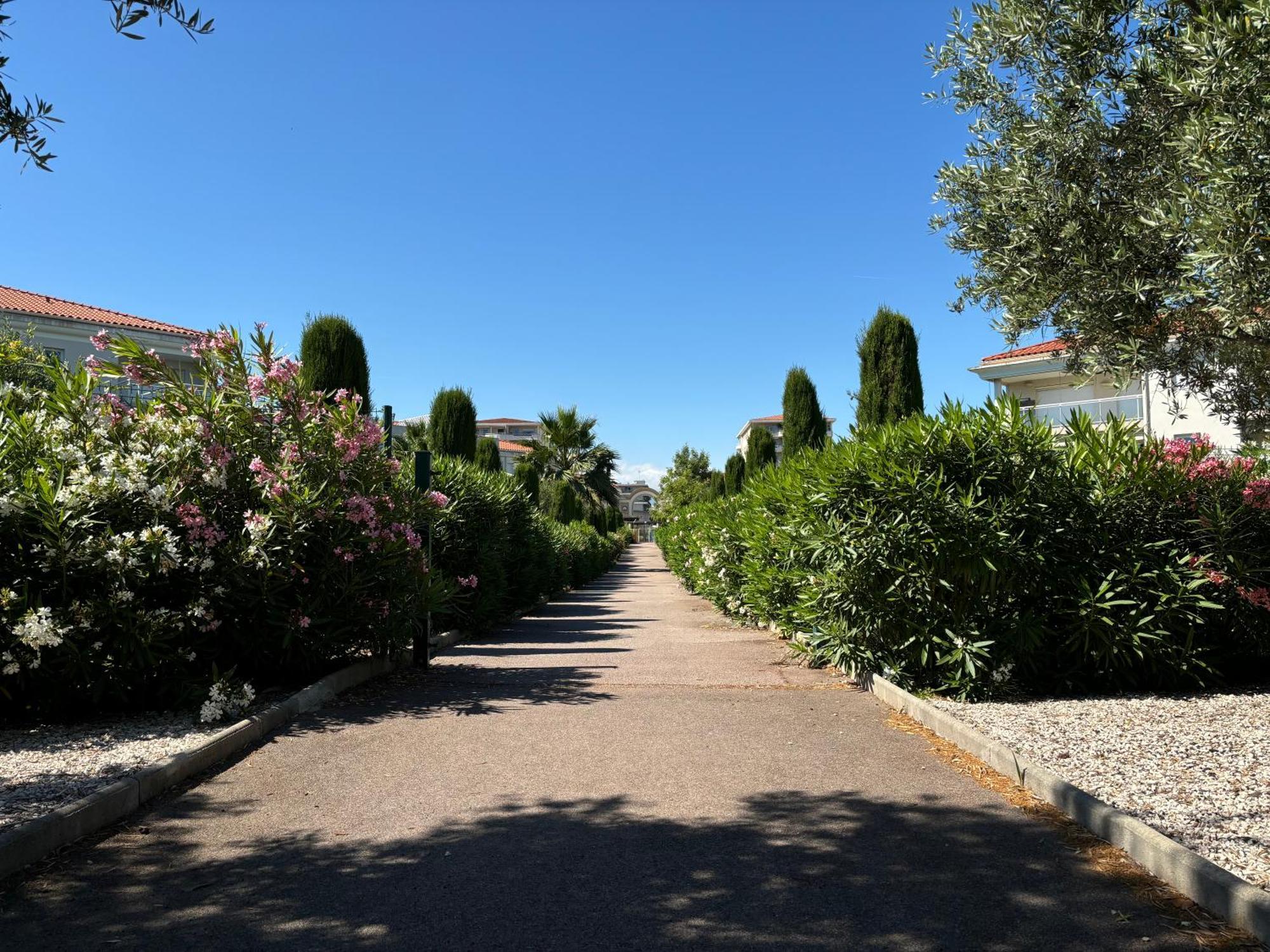 Beachside Apartment With Pool & Garden In Juan Les Pins Antibes Exteriör bild
