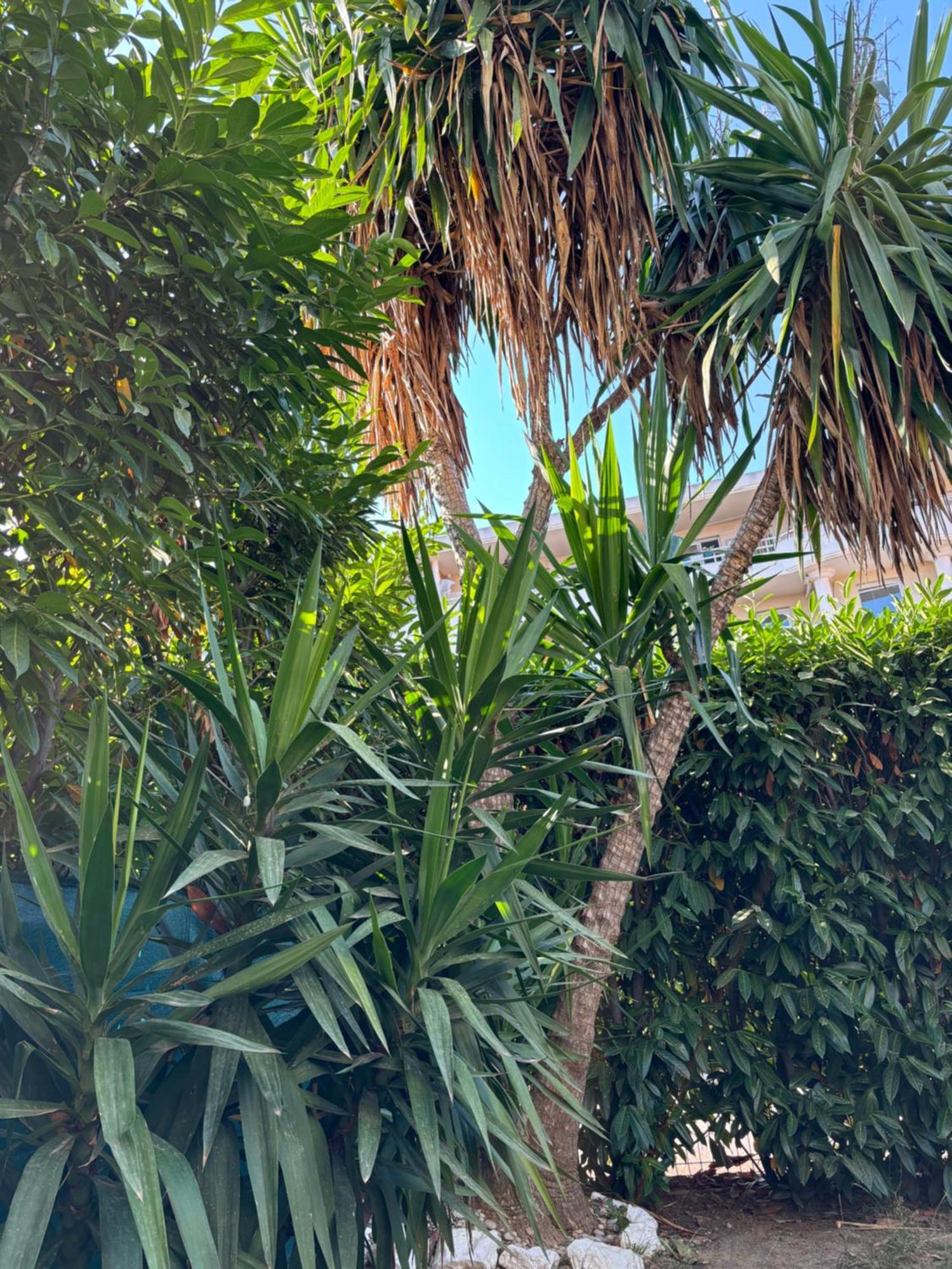 Beachside Apartment With Pool & Garden In Juan Les Pins Antibes Exteriör bild