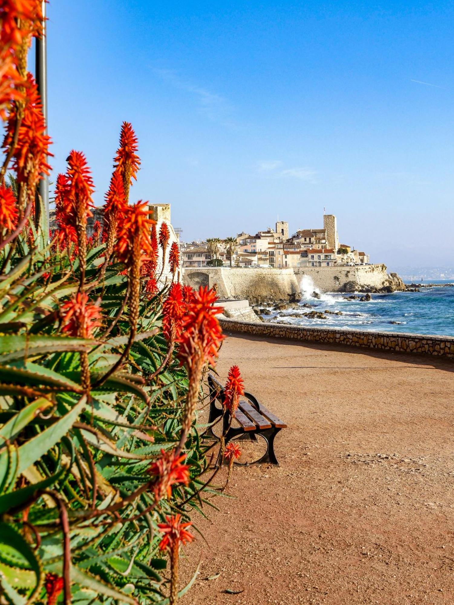 Beachside Apartment With Pool & Garden In Juan Les Pins Antibes Exteriör bild